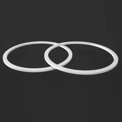 PTFE Back-sursum Annuli